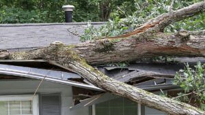 Residential Roof Repair Near Me storm_damage