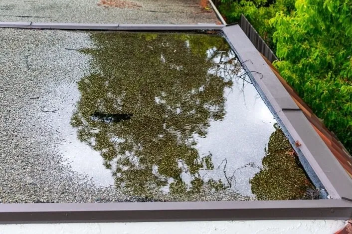 water-ponding-on-roof