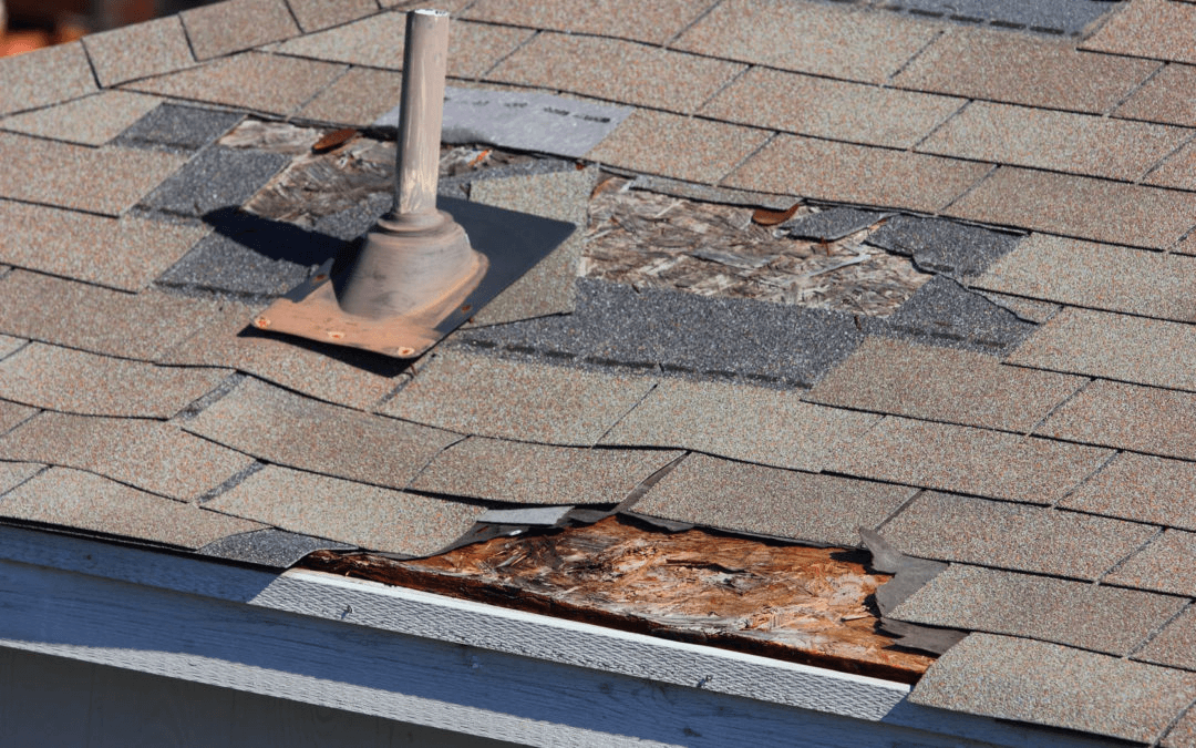 roof repair lauderdale lakes fl