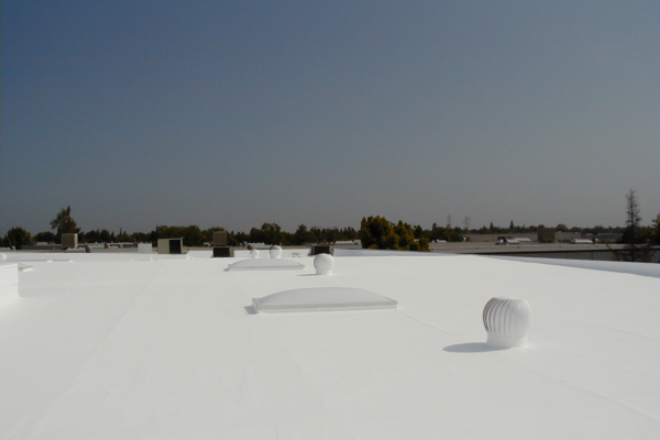 Best Flat Roofing Company Near Me Fort Lauderdale